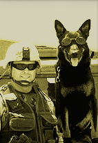 Military Working Dog Adoptions