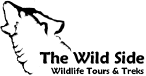 The Wild Side, Wildlife Tours and Treks